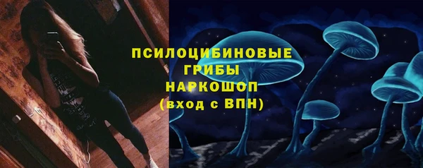 jwh Богородицк