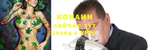 Альфа ПВП Богородск