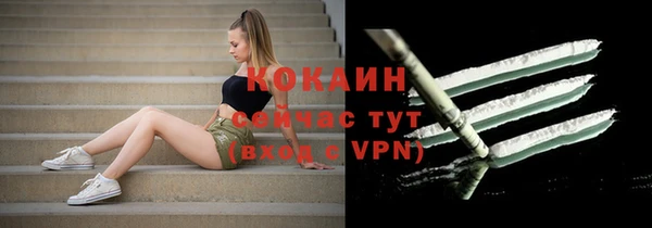 Альфа ПВП Богородск