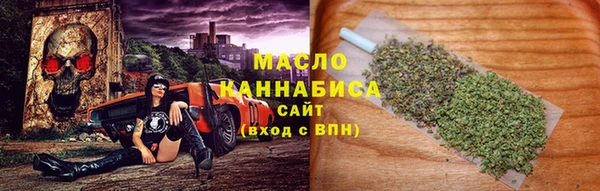метадон Богданович