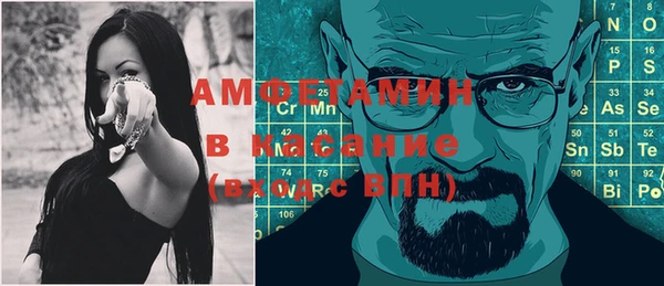 метадон Богданович