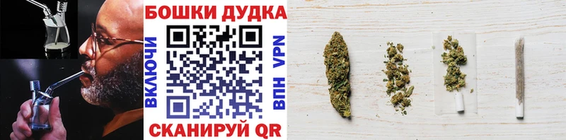 Марихуана сатива Нерчинск